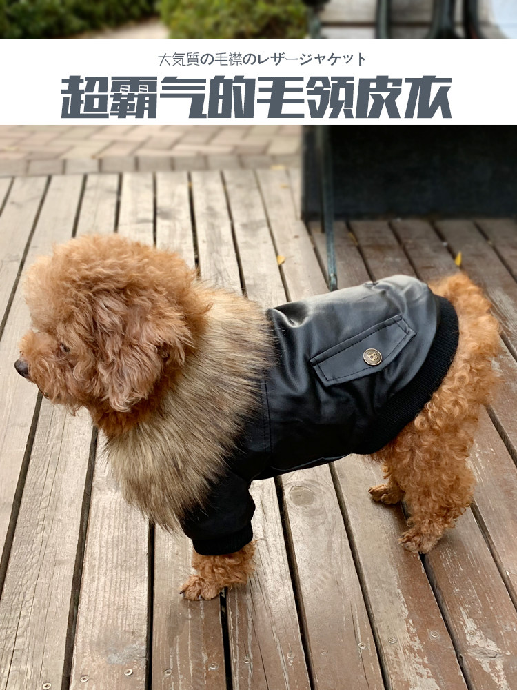 波迪宠物 宠物猫狗皮衣服法斗泰迪小型犬皮衣服潮牌冬衣
