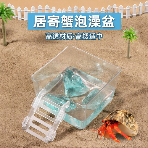 寄居蟹澡盆带垫脚石爬宠亚克力爬梯海水螃蟹相守蟹泡澡专用泡澡盆