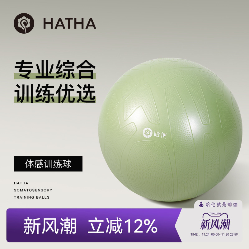 哈他瑜伽球加厚防爆专业健身球训练减肥练腰孕妇专用助产儿童感统