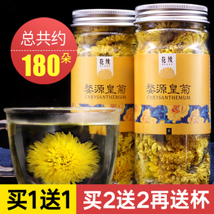 婺源皇菊花茶一朵一杯 徽州晓起黄菊花茶 大朵黄山大皇菊罐装