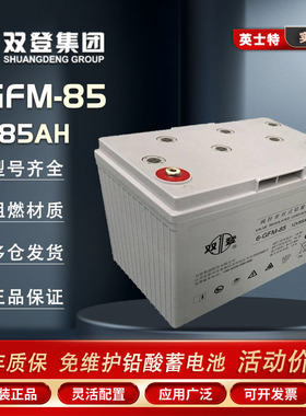 双登蓄电池6-GFM-85 12V85AH EPS直流屏 机房UPS配电室 后备电源