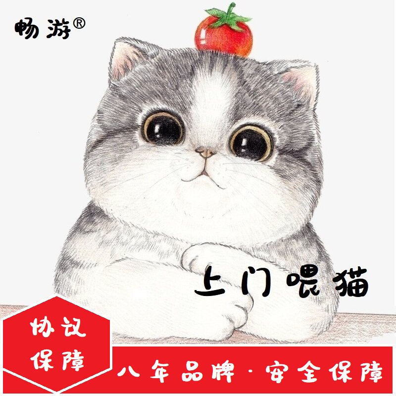畅游猫全上海北京广州深圳杭州福州厦门苏州武汉上门喂猫服务宠物