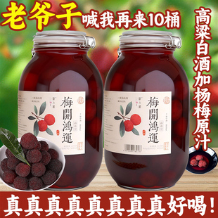 浙江仙居杨梅酒果酒正宗桶装自酿高度粮食烧酒陈酿梅子酒浸泡白酒