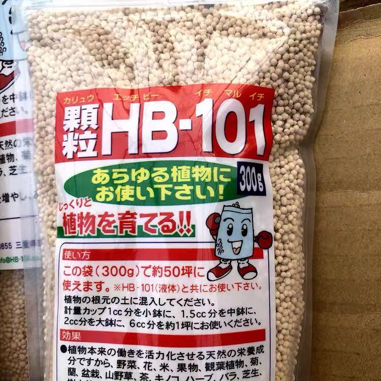 队长家 日本进口hb-101颗粒缓释肥 多肉活力素 促生根服盆 10克装