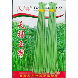 袋 天禧玉带豇豆种子绿白条长豆角角豆长缸豆江豆种籽春夏秋40克