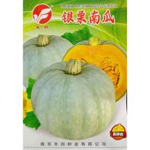 丰邦银栗南瓜种子杂交中早熟板栗味1.5 2公斤甘面粉细腻甜香5克