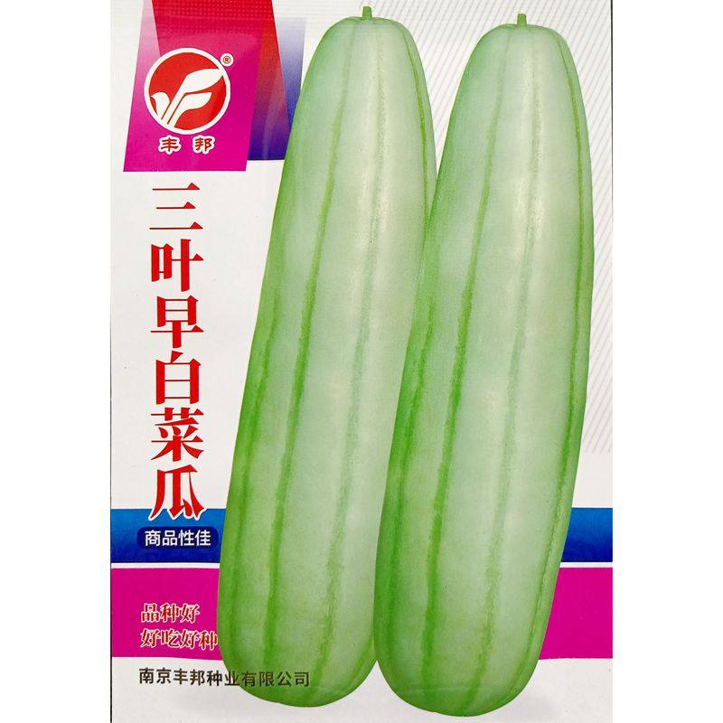三叶早白菜瓜种子白皮青瓜角瓜种子生瓜生食炒食腌渍酱菜3克150粒,农用物资,蔬菜种子/种苗,淘宝优惠券,粉丝福利购,淘宝优惠卷