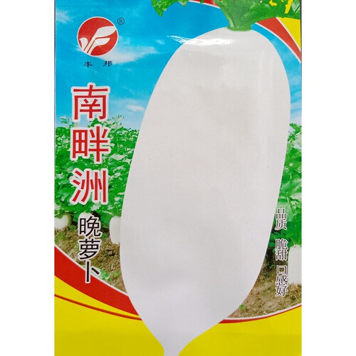 南畔洲晚萝卜种子白皮白肉15克