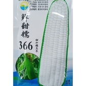 中苗鲜甜糯366白玉米种子加甜粒糯甜鲜食苞米苞谷籽200克约800粒