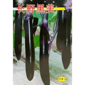 丰邦长野黑美茄子种子亮皮紫茄子黑紫长条棒型茄早熟杂交茄籽5克