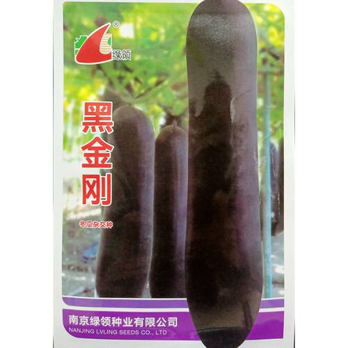 绿领黑金刚冬瓜种子长圆柱