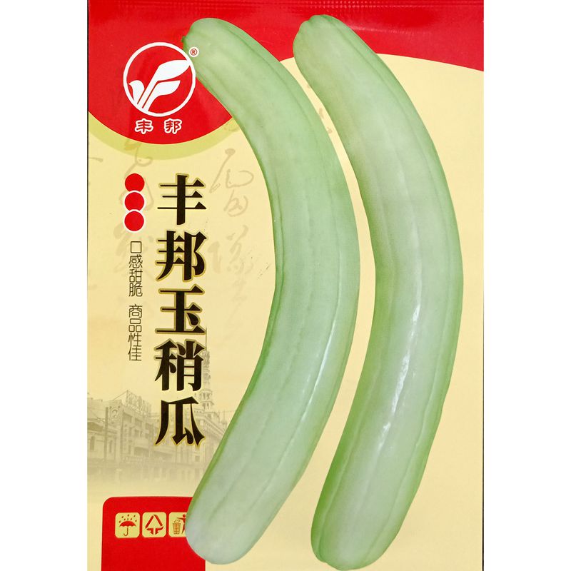 丰邦玉稍瓜种子白皮菜瓜生食熟食