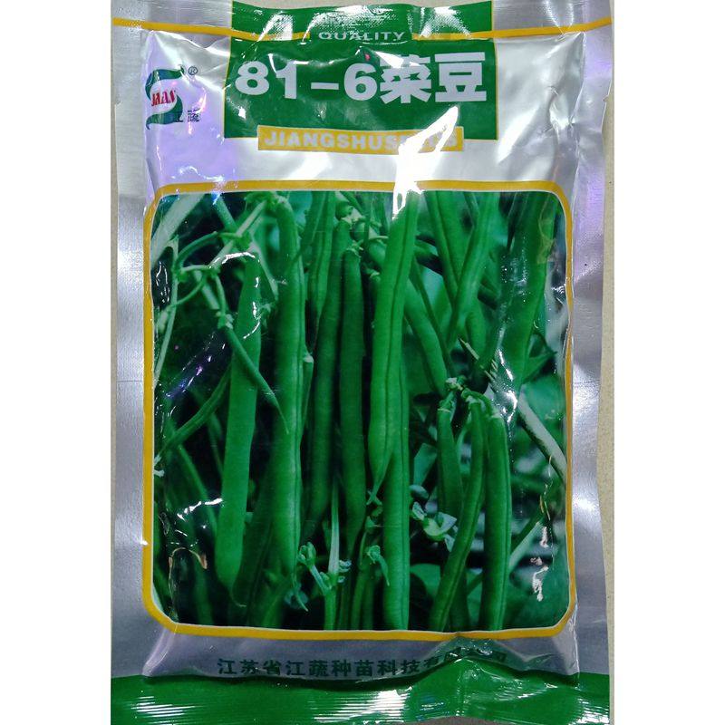 江蔬81-6菜豆种子无架四季豆无蔓不搭架不爬藤地豆角250克500克,农用物资,蔬菜种子/种苗,淘宝优惠券,粉丝福利购,淘宝优惠卷