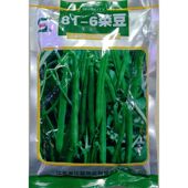 江蔬81 豆无蔓不搭架不爬藤地豆角250克500克 6菜豆种子无架四季