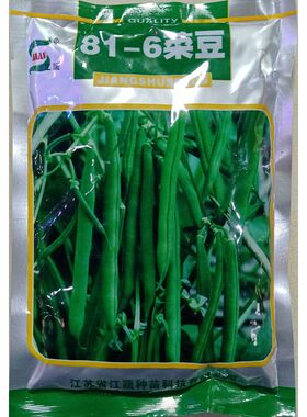 江蔬81-6菜豆种子无架四季豆无蔓不搭架不爬藤地豆角250克500克