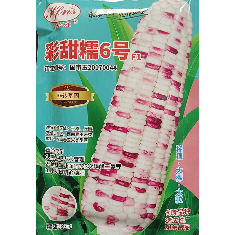 恒丰彩甜糯6号加甜糯玉米种子