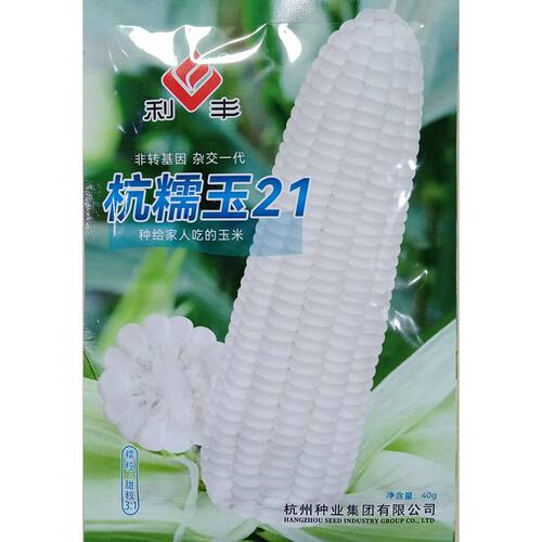 利丰杭糯玉21白甜糯玉米种子40克