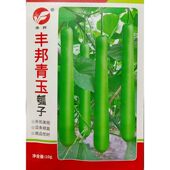 丰邦青玉瓠子种子蒲瓜瓠瓜中长型约45厘米夜开花种籽杂交10克80粒