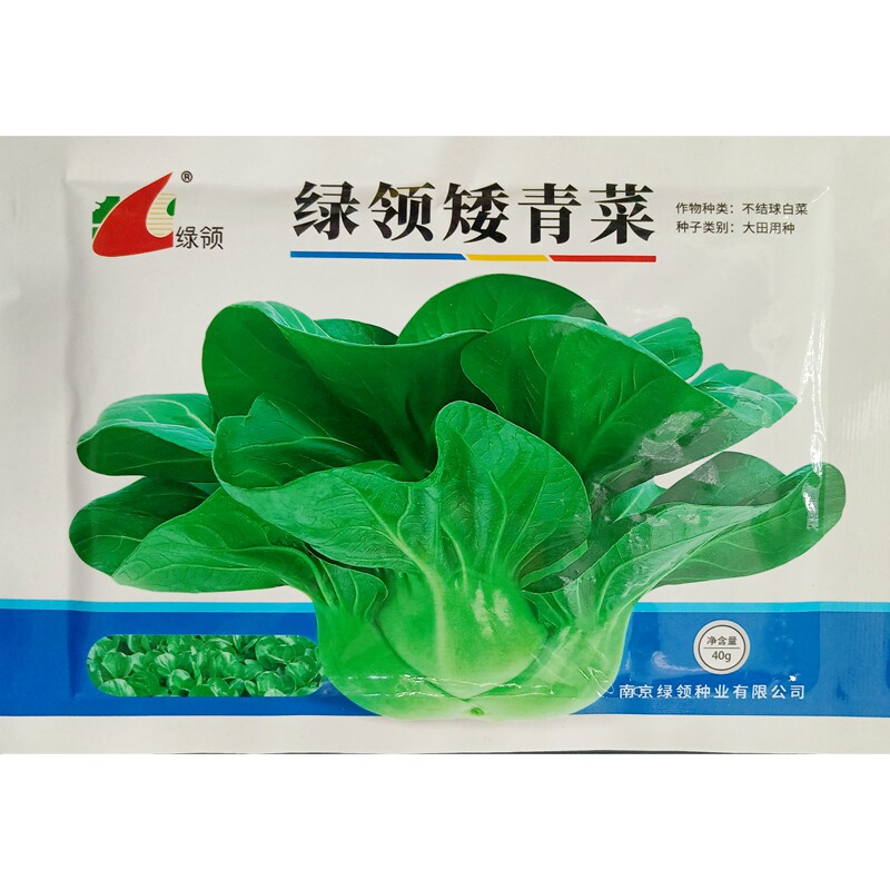 绿领矮青菜种子矮型小白菜小油菜短淡青绿短梗束腰蔬菜种籽40克