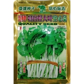 港种特白骨大叶空心菜种子228白茎白梗大叶藤菜蕹菜通心菜籽400克