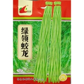 绿领蛟龙豇豆种子小叶绿白条长青豆角缸江豆种籽肉厚耐老30克