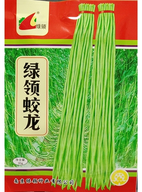 绿领蛟龙豇豆种子小叶绿白条长青豆角缸江豆种籽肉厚耐老30克