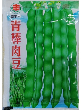 益丰禾青棒肉豆种子大荚早熟鼓籽四季豆籽菜豆角宽荚50克2.5公斤
