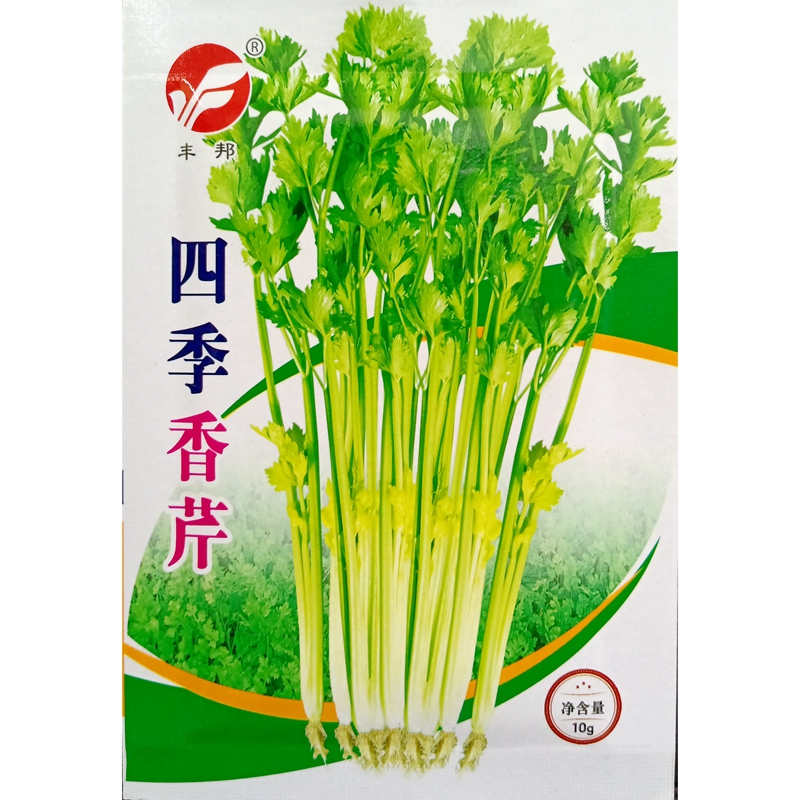 四季香芹种子空心10克