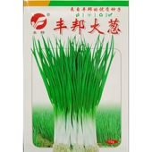 丰邦大葱种子春秋四季 袋约1500粒 播种香葱苗蔬菜种籽绿丰园10克