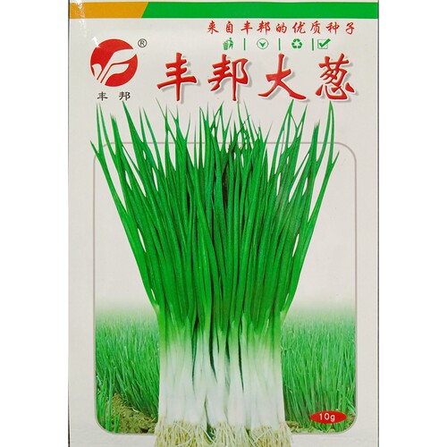 丰邦大葱种子独根10克