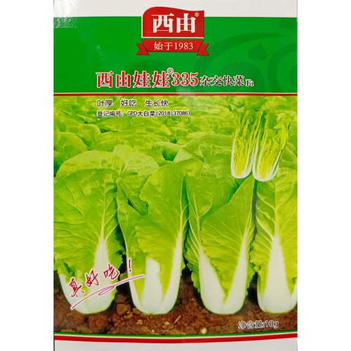 西由种子335快菜小白菜25天10克
