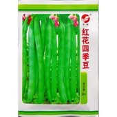 红花青荚四季 豆种子绿短豆荚菜豆爬藤豆角芸豆种籽春秋20克约80粒