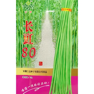 长豇80豇豆种子嫩绿长豆角江豆缸豆早熟春夏秋播种种籽15克约80粒