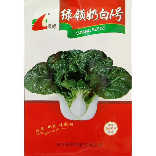 绿领奶白1号小白菜种子10克秋播