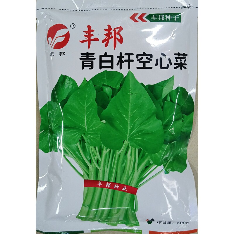 青白杆空心菜种子淡浅绿梗大叶多茬通心菜通菜蕹菜藤菜种籽500克