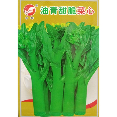 油青甜脆菜心种子10克