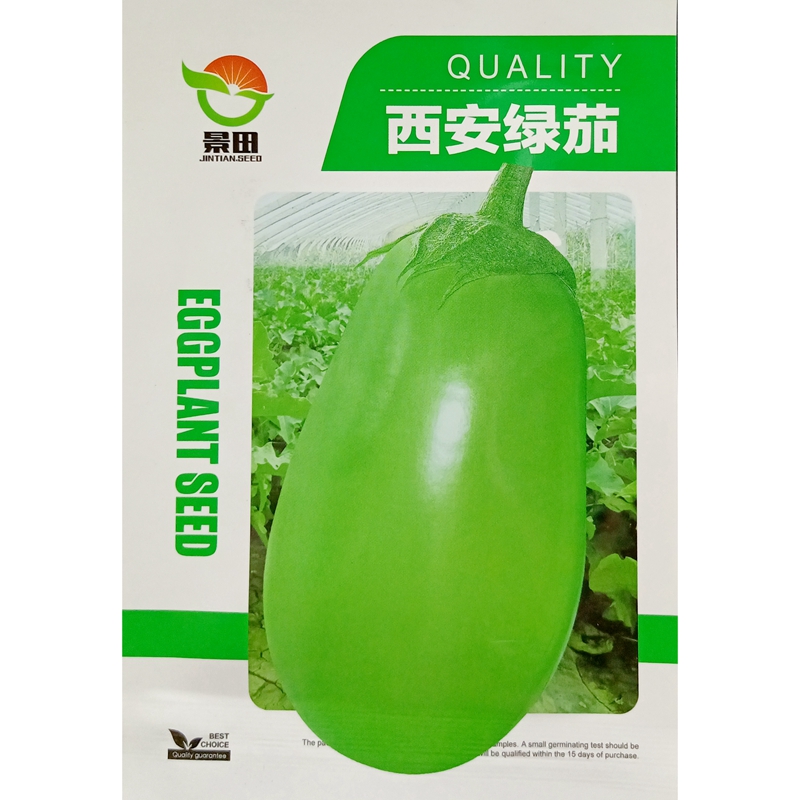 西安绿茄种子绿皮罐茄子种子果重约500克青皮蛋椭圆蔬菜籽1000粒