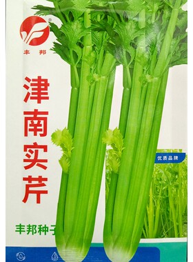 津南实芹种子实心香芹青梗10克