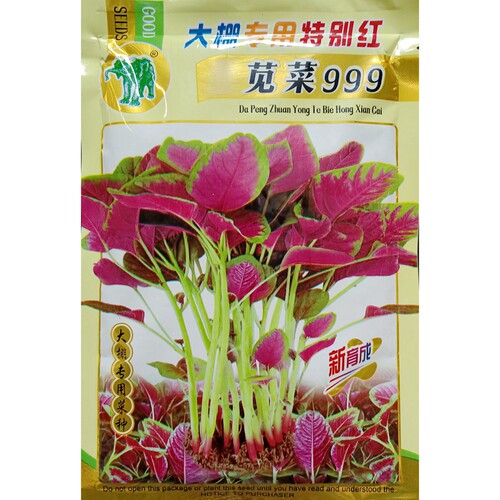 大棚专用特别红苋菜999种子大红