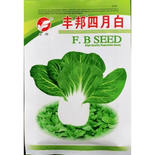 丰邦四月白青菜种子耐抽苔宽白梗小青菜白菜菜秧鸡毛菜籽20克 袋