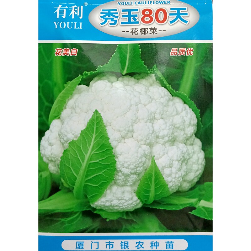 有利秀玉80天白花菜种子中熟紧球花椰菜白菜花种籽夏秋播10克