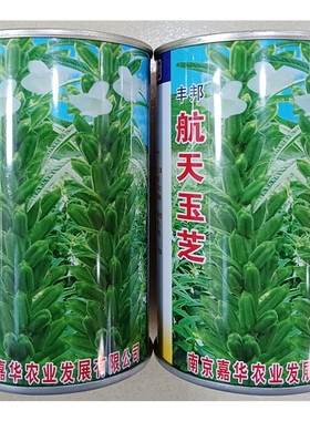 航天玉芝白芝麻种子结荚多果大高产稳产种籽绿丰园春夏200克罐装