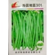 绿领苏芸地豆301种子矮生无架四季 豆种子无蔓不爬藤豆角菜豆50克