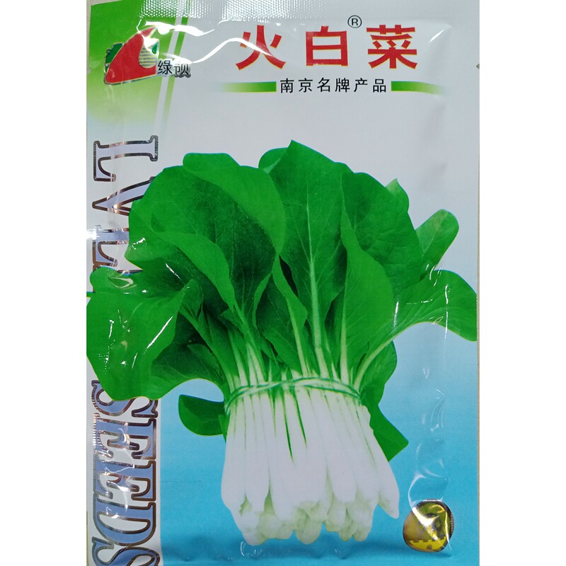 绿领火白菜种子夏季高温耐热耐雨白梗鸡毛菜青菜小菜秧种籽200克