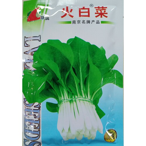 火白菜种子耐热菜秧鸡毛菜