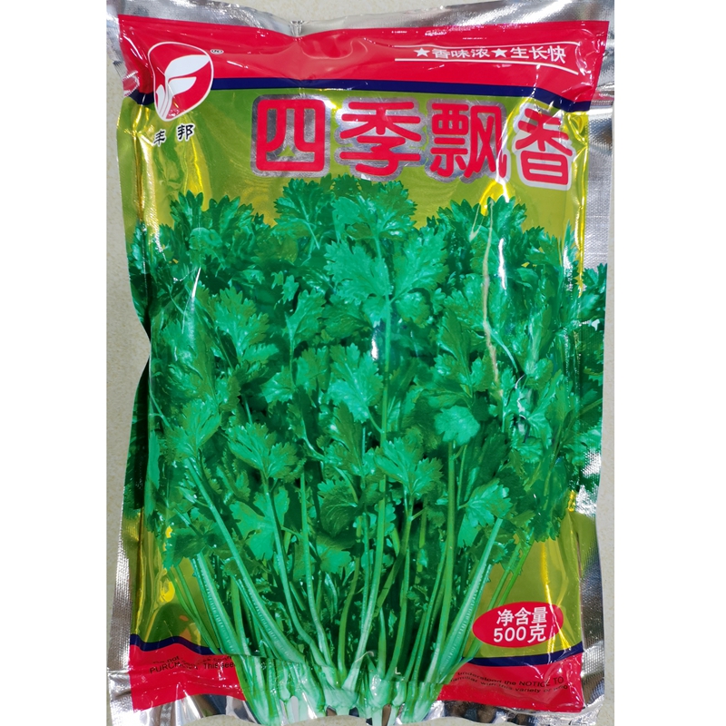 丰邦四季票香大叶香菜种子500克