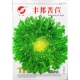 袋1000粒 播蔬菜5克 碎叶苦苣种子黄心苦菊种籽小叶大棵春季 秋四季
