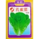 孔雀菜种子直立型生菜种籽种植易不招虫生长快耐寒热四季 播种5克