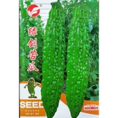 丰邦绿剑苦瓜种子35－40厘米长条型高产连续座瓜结瓜多种籽10粒