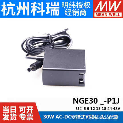 明纬NGE30医疗型U24V/U12V5开关电源适配器I05/09/15GSM18/48P1J